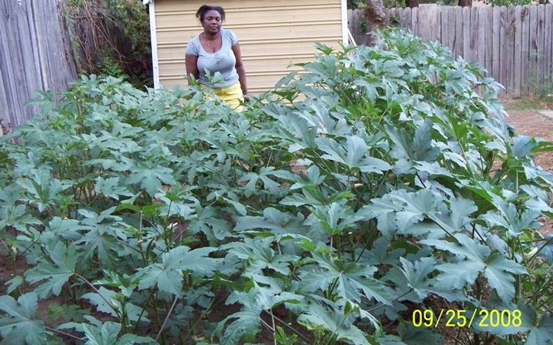 POZ prepares our students to be independent farmers.