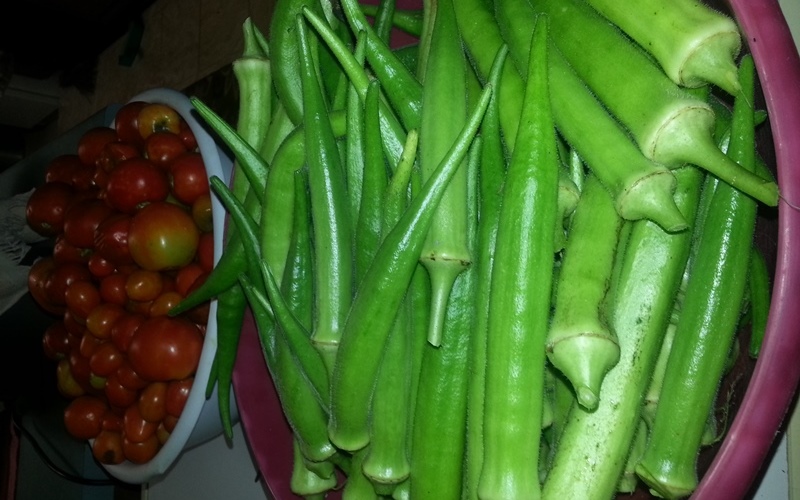 Tomatoes and Okras.